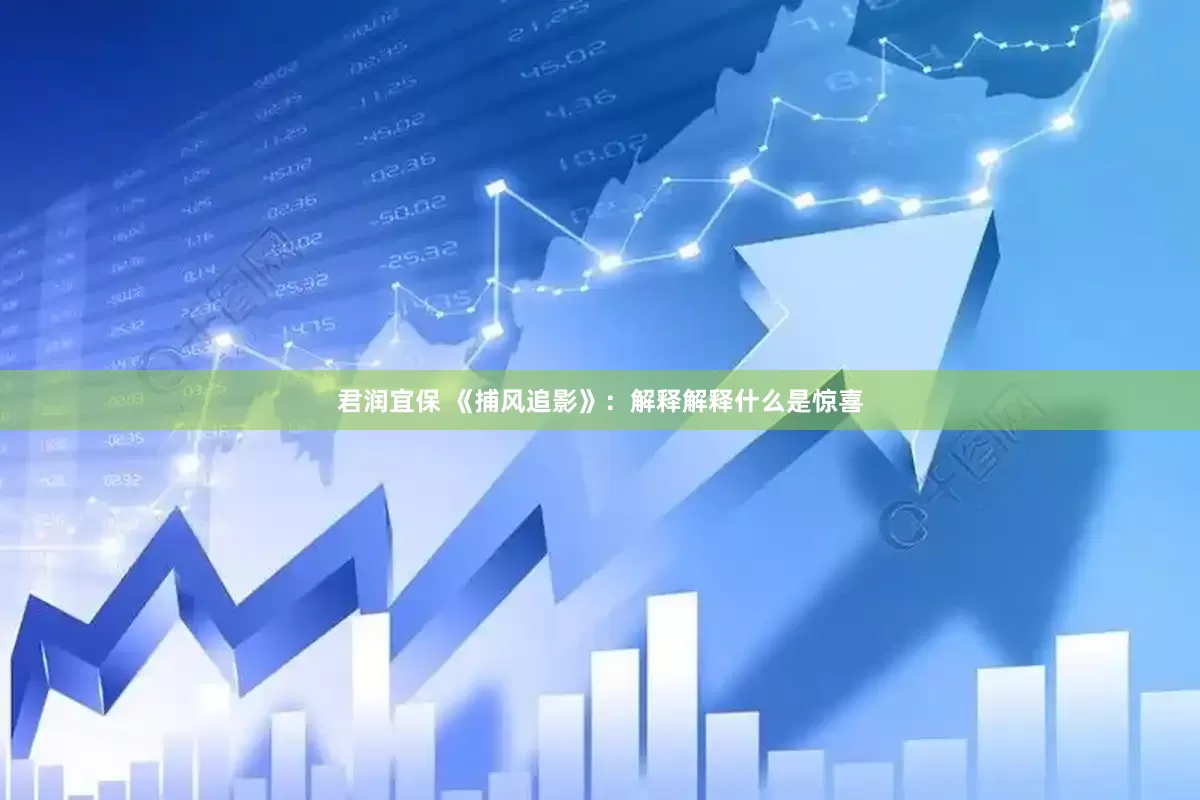 君润宜保 《捕风追影》：解释解释什么是惊喜