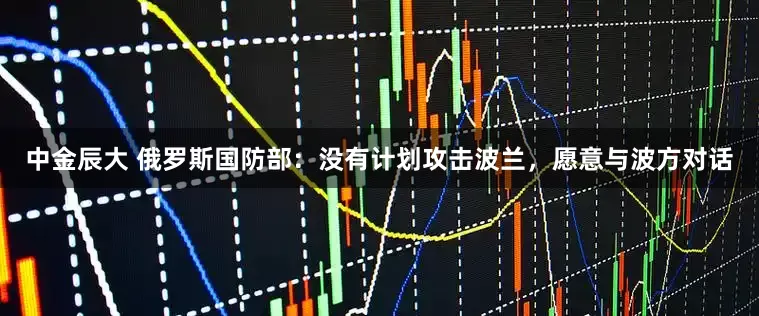 中金辰大 俄罗斯国防部：没有计划攻击波兰，愿意与波方对话
