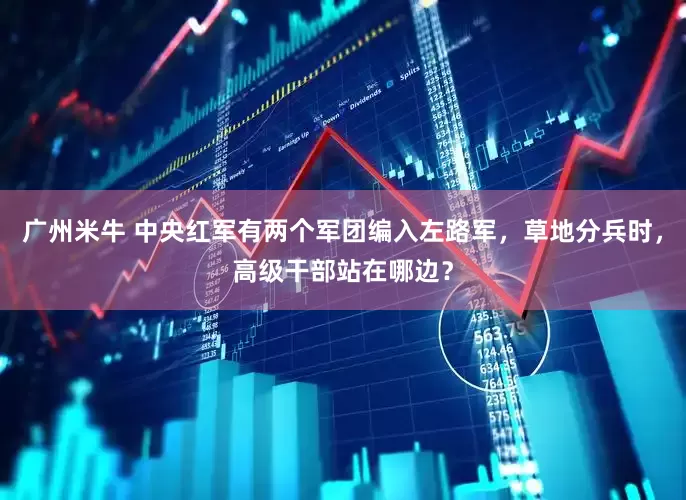 广州米牛 中央红军有两个军团编入左路军，草地分兵时，高级干部站在哪边？