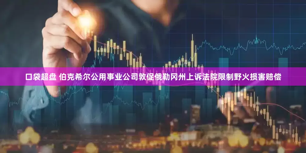 口袋超盘 伯克希尔公用事业公司敦促俄勒冈州上诉法院限制野火损害赔偿